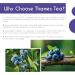 Thames Tea Tubebox - Premium Flavoured Loose Leaf Tea | Luxury British Fruit & Herbal Tea Collection - Buy Online on GoSupps.com