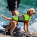 Buy Cit toile Life Jacket for Small Dogs - Adjustable & Lightweight Buoyant Safety Gear for Chihuahua Dachshund Bulldog - Perfect for Water Sports - GRUN L Green M - Buy Online on GoSupps.com