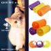 Pet Tunnel Tube Toy Orange Foldable Cat Dog Play Interactive Training Puppy Outdoor Indoor Supplies - Buy Online on GoSupps.com