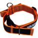 Julius-K9 Color & Gray Collar with Handle Safety Lock & Interchangeable Patch 40mm (38-53cm) - Orange Gray - Buy Online on GoSupps.com