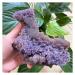 Natural Crystal Rough Natural Crystal Rough Rare! Top Natural Grape Agate Crystal Quartz Specimen ReikiAntiques Exorcise Evil Spirits Money Drawing Semi-Precious Stone Jade Jaspery Natural (Size : 50 500-550g