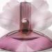 Calvin Klein Euphoria Eau de Toilette Women's Gourmand Perfume With Notes of Sparkling Plum Orchid Accord & Warm Vanilla Luxury Perfumes for Women Long Lasting Fragrance 3.4 Fl Oz - Buy Online on GoSupps.com