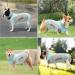 Buy XXL Blue Dog Cooling Vest - Breathable Mesh Jacket for Summer | Reflective Strips for Small to Medium Dogs - Buy Online on GoSupps.com