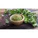 Club House Quality Natural Herbs and Spices Cream of Tartar 1kg - Buy Online on GoSupps.com