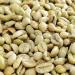 Ethiopian Yirgacheffe Raw Green Unroasted Coffee Beans 8 Ounces Sample Size 15883 - Buy Online on GoSupps.com