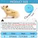 2 Pieces Guinea Pig Clothes Baby Ferret Rats Hamster Soft Mesh Harness Leash Vest Set with Bell for Guinea Pigs Hamster Ferret Rabbit Chinchilla and Similar Small Animals Small Blue Black - Buy Online on GoSupps.com
