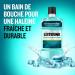 Buy Listerine Mouthwash Intensive Freshness 500ml Best for Oral Hygiene | International Shipping - Buy Online on GoSupps.com