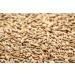 Organic Rye Berries 10 lbs - Non-GMO, Kosher, Raw Bulk Seeds from USA - Buy Online on GoSupps.com