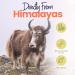 Himmaleh Yak Chews for Dogs - Yak chews for dogs small and puppies (pack of 6) - Protein Rich Dog Chews Long Lasting Natural - Yak Milk Chews - Yak Bars for Dogs - Healthy Yak Snack for small Breeds Small (Pack of 6) - Buy Online on GoSupps.com