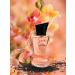 Signature Pour Femme Eau de Toilette. Chypre Fruity fragrance for Women. - Buy Online on GoSupps.com