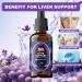 Liver Support Liquid Drops Supplement | TUDCA Drops Liver Cleanse & Detox with Milk Thistle, NAC, Dandelion, Artichoke & Glutathione for Detox, Bile Flow, and Digestive Health | Vegan & Non-GMO | 60ML - Buy Online on GoSupps.com