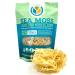 Organic Sea Moss | 100% Wildcrafted, Raw, Sun-dried | Makes 65oz of Sea Moss Gel | Gold, Purple (GOLD)
