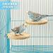 Reyshin Bird Seating Board Set - 4 Pieces Bird Playground Accessories with 5 Rat Balls for Budgies Canaries and Lovebirds - Ideal Bird Cage Toys - Buy Online on GoSupps.com