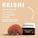 Orientana Reishi Day Cream - Vegan Anti-Aging Moisturizer for Mature Skin | 98% Natural Organic Facial Care | Reduces Folds & Pigment Spots - 50ml - Buy Online on GoSupps.com