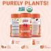 Juce Fruit Gummies with Peach Flavor - Superfood Gummies Delights for Optimal Health By Terra Kai Organics Peach 60 Count (Pack of 1) - Buy Online on GoSupps.com