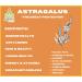 Astragalus 10:1 Concentrated Extract Powder | Immune & Cardiovascular Support | Adaptogen for Stress Relief | 113 Servings - Buy Online on GoSupps.com