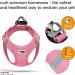 Buy Vest Harness Air-Mesh Pink XS - No Curli D-Ring Buckle for Small Breeds | International Shipping Available - Buy Online on GoSupps.com
