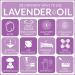 100% Pure Artnaturals Lavender Oil - 0.5 fl oz (15 ml) | Therapeutic & Aromatherapy - Buy Online on GoSupps.com
