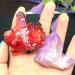 Specimen 2-Pack Crystal Cluster Angel Titanium Quartz Crystal Rainbow Specimen ERTEYIN - Buy Online on GoSupps.com