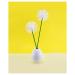 Q-tips Antibacterial Cotton Swabs - 300/Pack - Buy Online on GoSupps.com