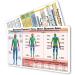 MDpocket Burn Resuscitation Card | Essential Emergency Tool for Fast First Aid - Shop Now - Buy Online on GoSupps.com
