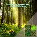 14OZ Preserved Reindeer Moss 4 Color Mix for Crafts & Decor - Forest Green/Yellow/Leaves/Grass Green - Home & Office Art - Buy Online on GoSupps.com