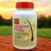 REGENSIFY Hair Melanin Booster Nutrition Anti Grey Hair Supplement for Men & Women | Melatine Catalase PABA L-Tyrosine He Shou Wu Chlorella Extract CoQ10 Folic Acid Pantothenic Acid  - Buy Online on GoSupps.com