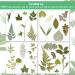TimTin 84 Pieces Dried Leaves and Flowers Resin Craft Kit - Assorted Greenery for DIY Handmade Bookmarks - Vivid Style - Buy Online on GoSupps.com