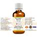 Greenwood Essential Pure Onion Seed Oil - Therapeutic Grade Cold Pressed 30ml | International Shipping - Buy Online on GoSupps.com