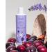Hagi Cosmetics Plum Picking Natural Shower Gel With Australian Davidson Plum Vanilla Aloe Panthenol and Prebiotics Gentle & Moisturizing Perfect for All Skin Types 300ml - Buy Online on GoSupps.com