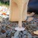 GoGoHeel STOPPERS Heel Protectors - Prevent Grass Sinking | 4 Size Set | Clear - Ideal for Outdoor Events - Buy Online on GoSupps.com