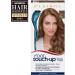 Clairol Root Touch-Up Hair Dye 6 Light Brown - 1 Count, Pack of 1 - Buy Online on GoSupps.com