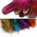 THARAHT 120PCS Natural Pheasant Plumage Feathers - 2-3 Inches, Mix Colour for Sewing, Crafts, Clothing, Jewelry, Wedding, Hair, Hats, Dream Catcher Decoration - Buy Online on GoSupps.com