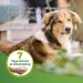 Beaphar Tick & Flea Protection Shampoo for Dogs & Cats - 250ml | 7 Days Repellent for Healthy Fur & Fresh Fragrance - International Shipping Available - Buy Online on GoSupps.com