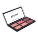 Profusion Cosmetics Mini Artistry On-The-Go Palette - Blush II | Compact Makeup Palette - Buy Online on GoSupps.com