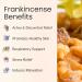 Vitality Extracts Frankincense Essential Oil 4oz | Boswellia Serrata | Aromatherapy & Skin Care for Natural Calm Stress Relief & Yoga Comfort - Buy Online on GoSupps.com