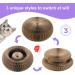 PetHse Magic Organ Cat Scratching Board - Interactive Scratch Pad Toy with Toy Bell Ball - Buy Online on GoSupps.com