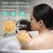 Buy XFO Sea Sponge - Natural Yellow 5.5in Loofah Alternative for Bathing & Exfoliating | All Natural USA Grown Sponges - Buy Online on GoSupps.com