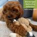Nature s Buddy Plush Dog Toys - Squeaky cuddly soft chew bundle - 5 pack set - durable interactive toys for puppy and small dogs - variety with 3 no stuffing animals - Buy Online on GoSupps.com
