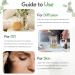 Freshskin Beauty LTD | Eucalyptus Essential Oil - 100ml - 100% Pure & Natural Essential Oils - Buy Online on GoSupps.com