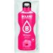 Bolero Drinks Hibiscus 24 x 9g Hibiscus 9 g (pack of 24)