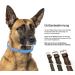 Premium Padded Leather Dog Collar - Sniffing Fans Design for All Sizes (M 28-36cm Brown) - Buy Online on GoSupps.com