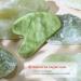 Rena Chris Gua Sha Jade Stone - 100% Natural Xiuyan Jade for Spa & Acupuncture Therapy | Effective Visual Massager for Men & Women - Buy Online on GoSupps.com