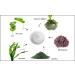 Raya Ultra-Light Seaweed Cream (304) | Day Cream for Oily, Break-Out Skin | Controls Oil & Reduces Wrinkles - Buy Online on GoSupps.com