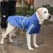 Buy Petcute Dog Rain Coat - Waterproof Windproof Reflective with Hood for All Sizes - XL Dark Blue - Buy Online on GoSupps.com
