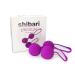Shibari Kegel Dual Weighted High Grade Silicone Exercise Kit for Bladder Control and Pelvic Floor Purple