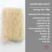 TANISA Organic Rice Vermicelli Noodles - Gluten-Free & Vegan - Vietnamese Rice Noodles for Asian Cuisine - 7 oz Pack of 1 - Buy Online on GoSupps.com