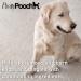 Pooch Tangle-Free Detangling Spray - Leave-In Conditioner for Dogs - 250ml - Buy Online on GoSupps.com