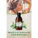 alkmene Anti-greasy shampoo with organic nettle - shampoos for oily hair - vegetable shampoo without silicones parabens mineral oils SLS and SLES - shampoos (3x 250 ml) - Buy Online on GoSupps.com