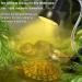 ICepark Turtle Heat Lamp - 25W & 50W UV UVA UVB Reptile Terrarium Lighting for Lizards & Aquatic Animals | E27 Heating Lamp Accessories - Buy Online on GoSupps.com